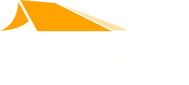 No Payne Roofing